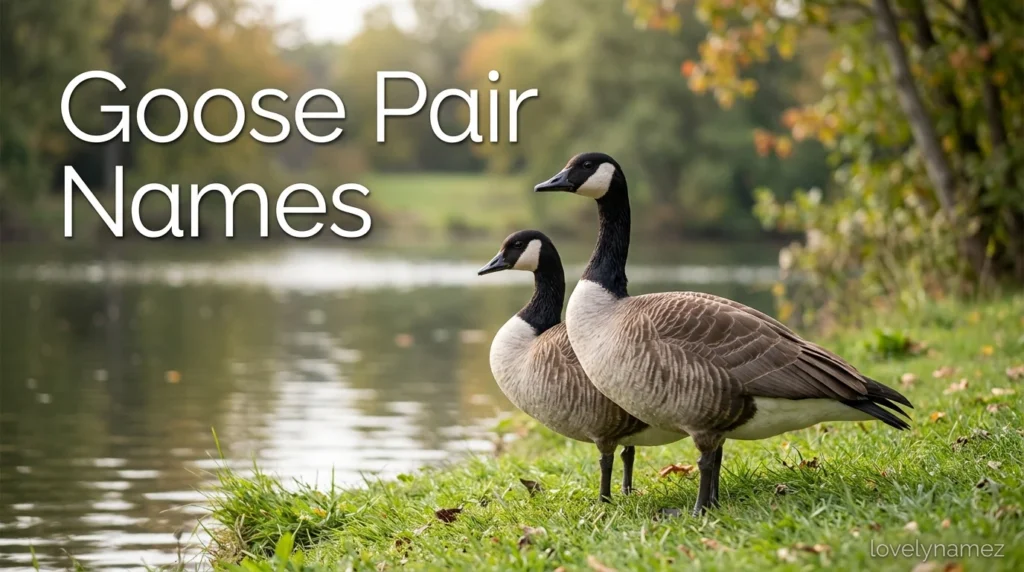 Goose Pair Names