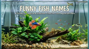 Funny Fish Names