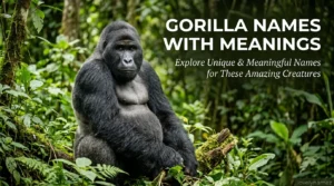 Gorilla Names With Meanings