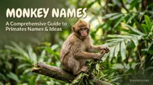 Monkey Names