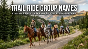 Trail Ride Group Names